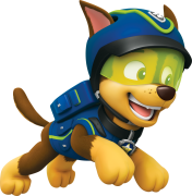 paw-patrol 5 قائمة